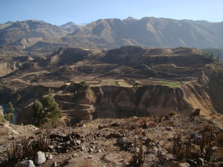 Semin_Winter_Machu Picchu_2a.jpg